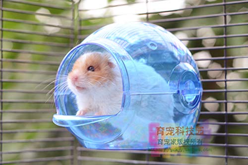 hedgehog pet supplies