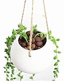 Moyishi Mini Decorative Ceramic Hanging Planter Flower Pot Water Planter Plant Vase (White)