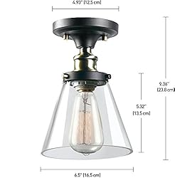 Globe Electric 65380 1-Light Flush Mount Ceiling