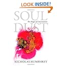 Soul Dust: The Magic of Consciousness