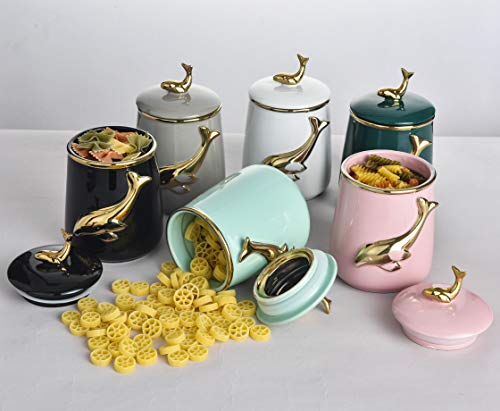 MASMOY Ceramic Storage Jar Skipping Dolphin Canister with Airtight Ceramic Lid, 27.05 FL OZ (800ML) Light BLue Container for Home Serving for Whole Bean Coffee, Pasta, Sugar and More