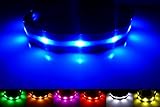 GoDoggie-GLOW USB Rechargeable LED Dog Safety Collar, Large ( 15 - 23.6