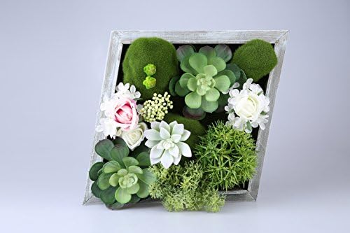 Jintano 3D Artificial Flowers Wall Hanger Succulent Plants Moss with Retro Green Frame Home Decor