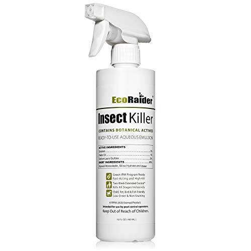 West Bay Retail | Pantry Moth Killer KIT - Natural Moth Killer Kit by MothPrevention - 2-3 Room Treatment