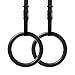 Foldable Fitness Gymnastic Rings - Set of (2) - Fully Adjustable Straps with Metal Buckles. Excellent for Pull Up Exercise or Olympic Gym Crossfit Training. Great for Dips and Full Body Strength.