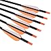 Carbon Arrow Practice Hunting Arrows with Removable Tips for Archery Compound & Recurve & Traditional Bow (Pack of 12)
