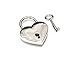 Chain Necklace and Heart Padlock Day Collar ll - Medium, Nickle