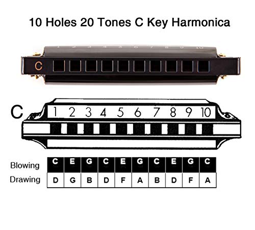 2 Harmonica+Standard+Diatonic+Beginners+Professional