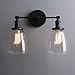 Phansthy Black Wall Sconce Double Sconce Light with Dual 5.6 Inches Clear Glass Lampshade(Black)