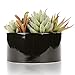 MyGift 6-Inch Decorative Black Glazed Tabletop Round Ceramic Planter Pot with Assorted Artificial Succulents
