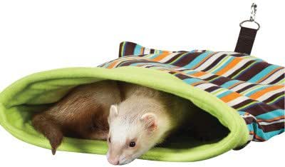 all living things ferret cage