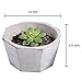Set of 2 Modern Cement Octagon Planter Pot, 5-Inch Succulent & Cactus Container, Gray