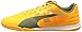 PUMA Men's Evospeed Sala Soccer Shoe