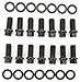 ARP (180-1101) Header Bolt Kit