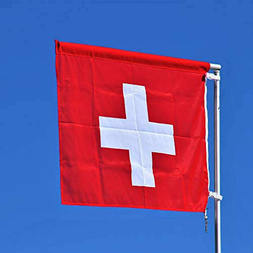 Food-United TETE DE MOINE AOC-AOP Schweizer Mönchskopf-Käse-Laib 2x 800g Swiss-Girolle Monks-Head-Cheese Berner Jura… – Bild 7