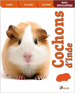 Cochons D Inde Maxi Encyclopedie French Edition Mahoney M Amazon Com Books Cochons D Inde Maxi Encyclopedie French Edition Mahoney M Amazon Com Books