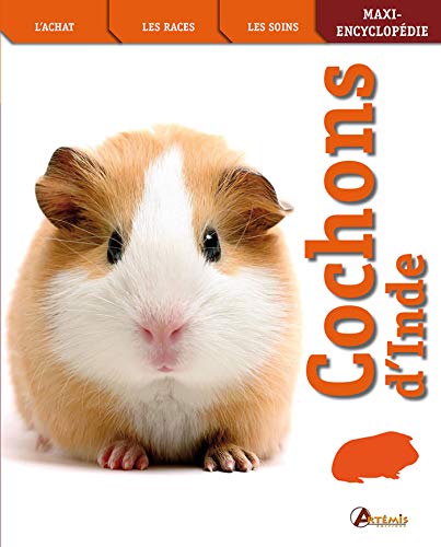 Cochons d'Inde (MAXI ENCYCLOPEDIE) (French Edition) by M MAHONEY