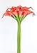 Angel Isabella, LLC 20pc Set of Keepsake Artificial Real Touch Calla Lily with Small Bloom Perfect for Making Bouquet, Boutonniere,Corsage (Coral Reef)