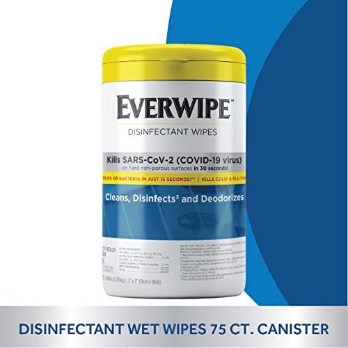 EVERWIPE Disinfectant Wet Wipes MultiSurface Cleaning and Deodorizing