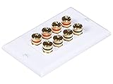 Monoprice 103326 Banana Binding Post Two-Piece Inset Coupler Wall Plate for 4 Speakers, 2-Pack