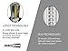 LED Lantern V2.0 with Flashlight - The Original & Best Lantern/Flashlight Combo. 2020 Tech (350 LUMENS) - Collapsible Camp Lamp - Great Light for Camping, Car, Shop, Attic, Garage - Batteries Included