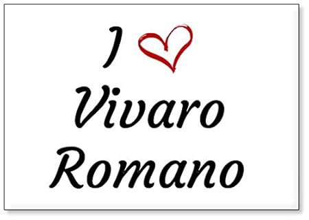 Mundus Souvenirs - Amo Vivaro Romano, Imán para Nevera (diseño 1 ...