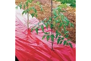 Grower's Solution Red Mulch - Garden - Plastic Film - 4ft. X 50ft. 1.0 Mil Embossed