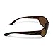 Flying Fisherman 7865TA Sunglass, Shiny Tortoise Frames/Amber Lenses, One Size