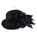 Pixnor Women's Ladies Flower Decor Hair Clip Feather Fascinator Burlesque Punk Mini Top Hat - One Size (Black)