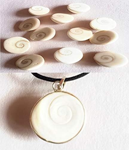 Best Combo Set of 12 Natural GOMTI (GOMATI) Chakra & GOMTI Chakra Pendant Laxmi Puja Mystic Hindu Miracle Imbalance Healing Blessed A+++ Quality
