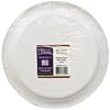 Nicole-Home-Collection-24-Count-Brushstrokes-Dinnerware-Paper-Plate-10-Inch Nicole-Home-Collection-24-Count-Brushstrokes-Dinnerware-Paper-Plate-10-Inch