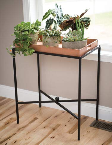 Essex Butler’s Tray Plant Stand