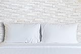 Set of 2 Premium 100% Down Pillows - 550 Fill Power (26oz.) - White Goose Down Sleeper - 100% Egyptian Cotton Shell - Queen Size, 20 x 30-inch – 400 Thread Count - Proudly Made in The USA