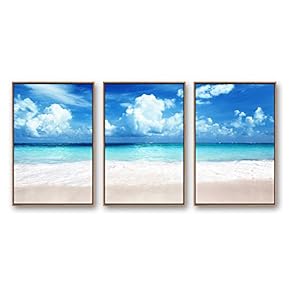 Framed Canvas Wall Art for Living Room,...