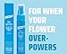 Queen V The Spritzer pH Balanced Rose Water Spray | Deodorizing and Freshening