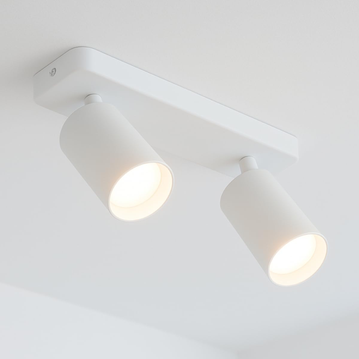 CGC Lighting Round Circular Surface Mount Spotlight Adjustable Ceiling Downlight Spot Down Light Lounge Living Room Kitchen Bedroom (White, Double)