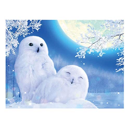 Mikilon Full Drills 5D DIY Diamond Painting Kit, Snow Owl Embroidery Cross Stitch Rhinestone Mosaic Painting Decor