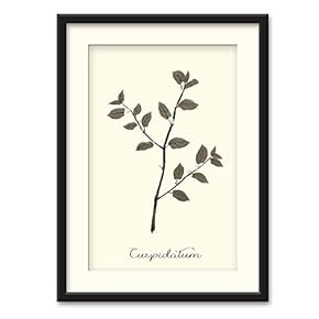 Herbs Theme Wall Art Black Framed Canvas Prints Home Decoration for Bedroom,Livingroom Ready to Hang - 23x31 inches