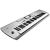 KORG I3 Keyboard Arranger – 61 Notes, Grey Matt Silber