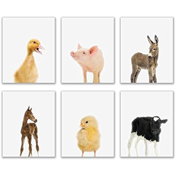 baby farm animal nursery decor