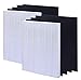 115115 Replacement Filters A Size 21 for Winix PlasmaWave 5300-2, C535, 6300, 5300, 6300-2, P300, AM90, 9000, 5000, 5000B, C909, 9800 Air Purifier, 2 True HEPA Filters + 8 Carbon Pre-Filters