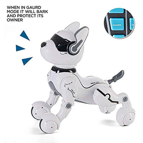 Remote Control Robot Dog Toy, Robots for Kids, Rc Dog Robot Toys for Kids  2,3,4,5,6,7,8,9,10 Year olds and up,
