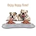 Pawaboo Pet Dog Cat Bowls, Premium Stainless Steel Pet Feeder with Food Grade Bone Shaped Rubber Base, 4.33 Inch Diameter Bowls for Pet Dog Cat Food or Water, Set of 2, Small Size, Gray