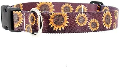 sunflower dog collar