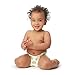 The Honest Company Baby Diapers with Trueabsorb Technology, Extra Guac, Size 4, 92 Count