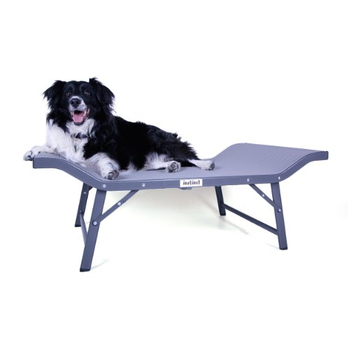 Kyjen Instinct Air Flow Bed, Medium, Gray My Pet Supplies