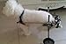 Adjustable Dog Wheelchair ＸＳ Size, Weight 4.4 to 17.6 lbs, Hip Height:7.5