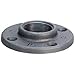 Anvil 8700164059, Malleable Iron Pipe Fitting, Floor Flange, 1-1/2
