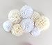 Furuix 8pcs White Mixed Cream Tissue Paper Pom Pom Paper Flower Pom for Baby Shower Wedding Birthday Celebration Table Wall Decoration