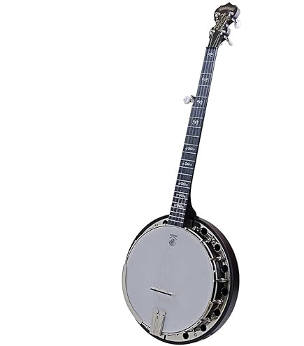 Amazon.com: Deering Artisan Goodtime Two 5-String Banjo : Musical